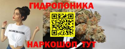 круглые Будённовск