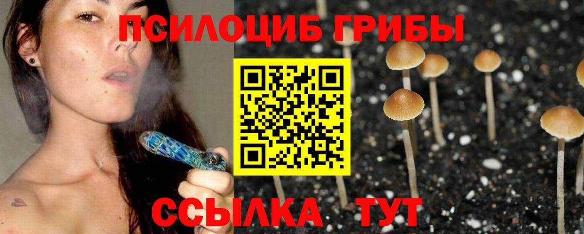Кулебаки  магазин продажи наркотиков  Вход с VPN  Галлюциногенные грибы Psilocybine cubensis 